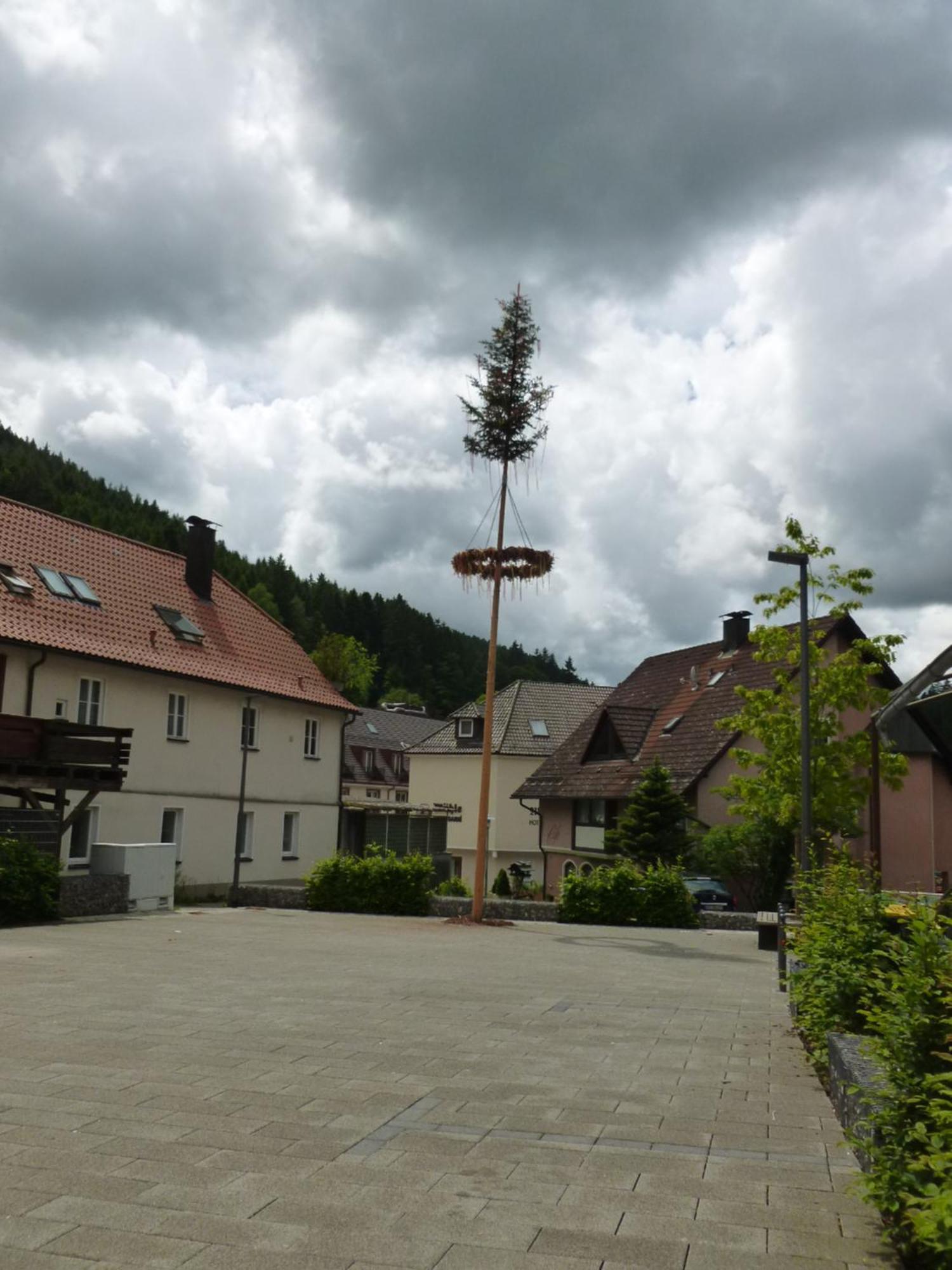 Gasthaus Waldhorn باد تايناخ-تسافلشتاين المظهر الخارجي الصورة